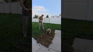 Fixing my ugly lawn