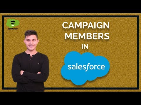 Видео: Salesforce дахь кампанит ажлын гишүүд гэж юу вэ?