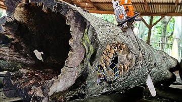 surprising discovery of amazing old teak logs at sawmill