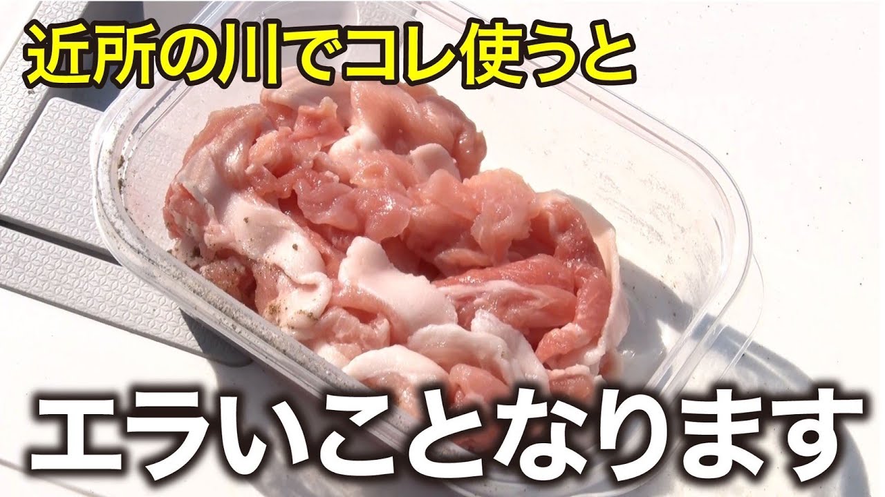 【ハゼ釣り】色んなエサを使ってみたら衝撃の結果に｜ガッ釣り267