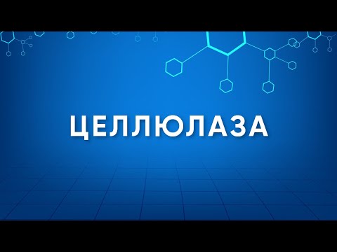 Целлюлаза (Cellulase) Назначение. Производство. Применение. Энзимология в деталях.