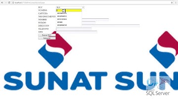 Consulta SUNAT (Ruc) C# Asp.net Javascript - Visual Studio 2017