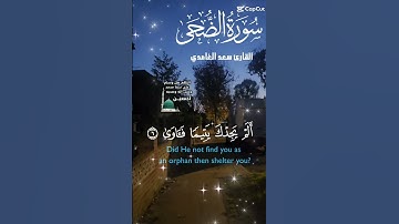 تلاوة عطرة مباركة خاشعة للشيخ سعد الغامدي سورة الضحى