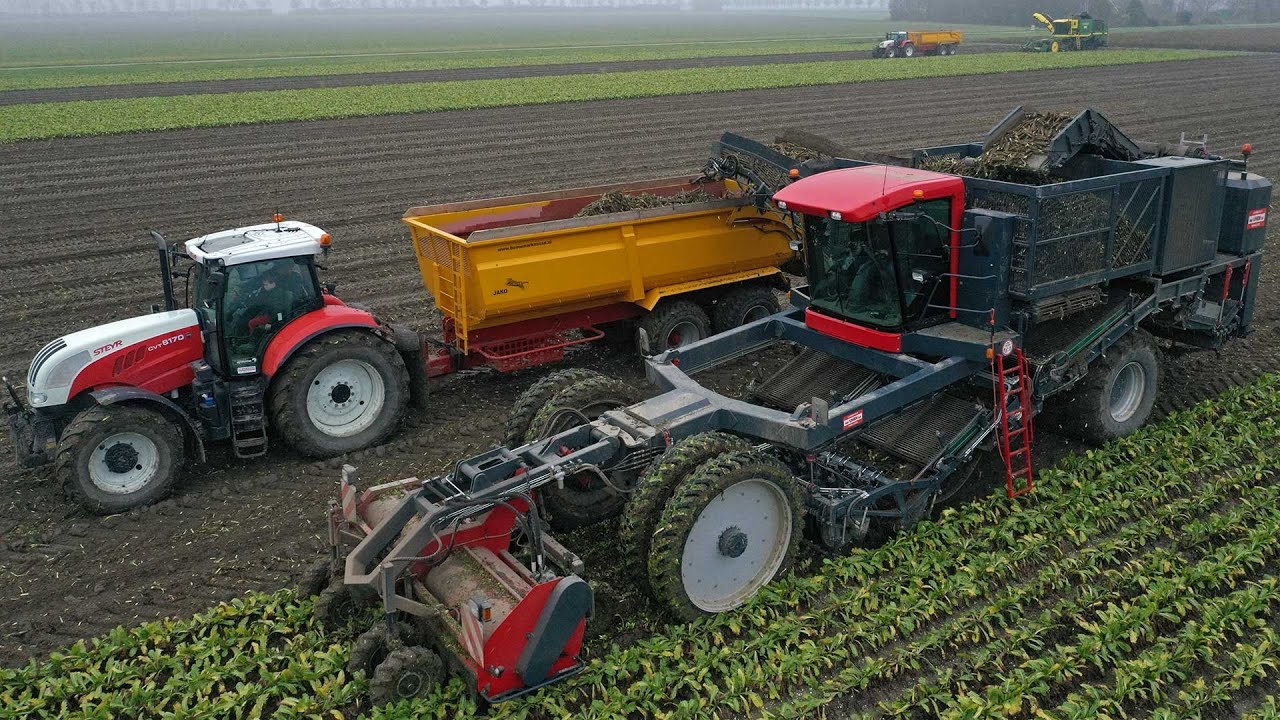 The home made harvester | Chicory (Endives) harvest 2020 | Gebr. van Unen