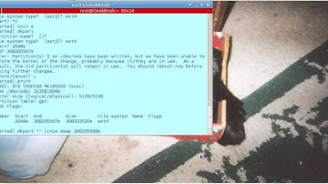 Linux: Convert MSDOS partition table to GPT w/o data loss!