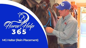 MG Halter (Rein Placement) | Horse Help - Michael Gascon