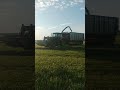 Силосование 2025 года тракторами TERRION CLAAS сельскоехозяйство силос Силосование 2025 года тракторами TERRION CLAAS сельскоехозяйство силос