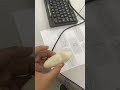 The Upper Canine рџ The Upper Canine рџ
