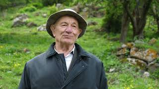 видео: Фыдæлты уæзæгмæ. Фыдæлтыккон таурæгътæ. 2 хай картинка: Фыдæлты уæзæгмæ. Фыдæлтыккон таурæгътæ. 2 хай