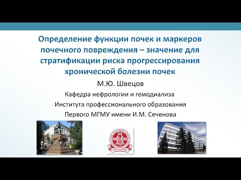 М.Ю. Швецов - Определение функции почек и маркеров почечного повреждения