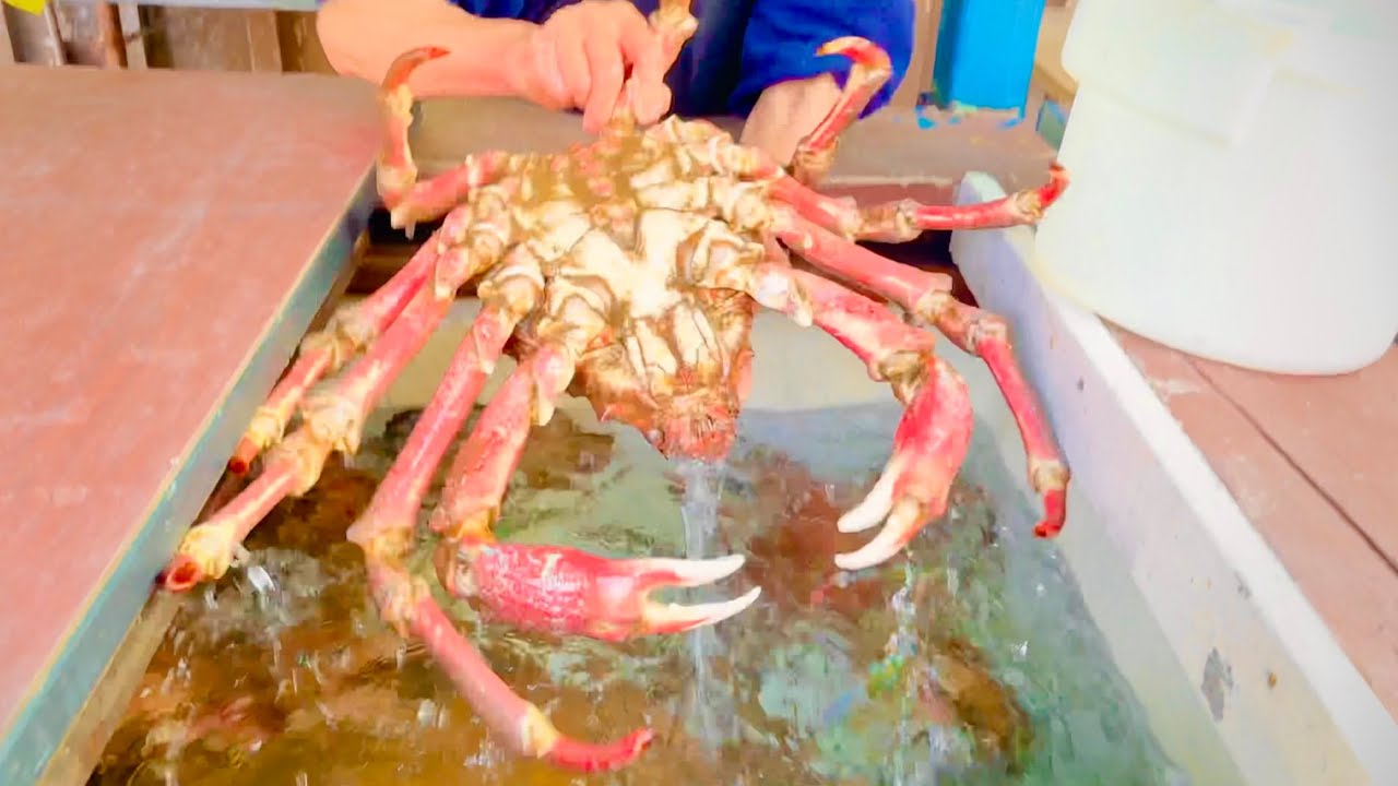 Fresh Giant Spider Crab at Oxnard Seafood Market, California : A Must ...