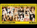 NUC # 325 - "The 3rd Gen 12 Person Final Hurrah" 2021/9/5 の動画、YouTube動画。