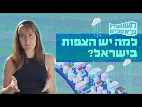 וִידֵאוֹ: למה יש קרחות יער?