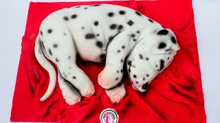 Kricky Cakes Decoration Realistic Dalmata Dog Cake Tutorial 720P