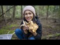 Picking WILD Chanterelle Mushrooms | Mushroom Foraging in BC Canada
