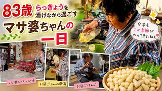 【83歳】らっきょうを漬けながら過ごすマサ婆ちゃんの日常に密着