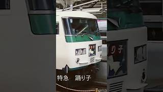 東京駅を出発する185系特急踊り子