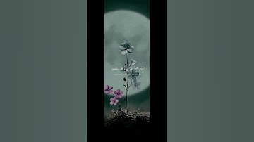 سورة الإسراء#قرآن #اكسبلور #quran #nature