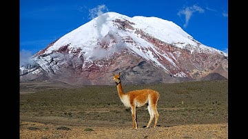 Thumbnail of De Ecuador, Ñuca Llacta. Name of Music.