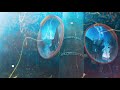 彷徨う光/IoNN　MUSICVIDEO【作業用】