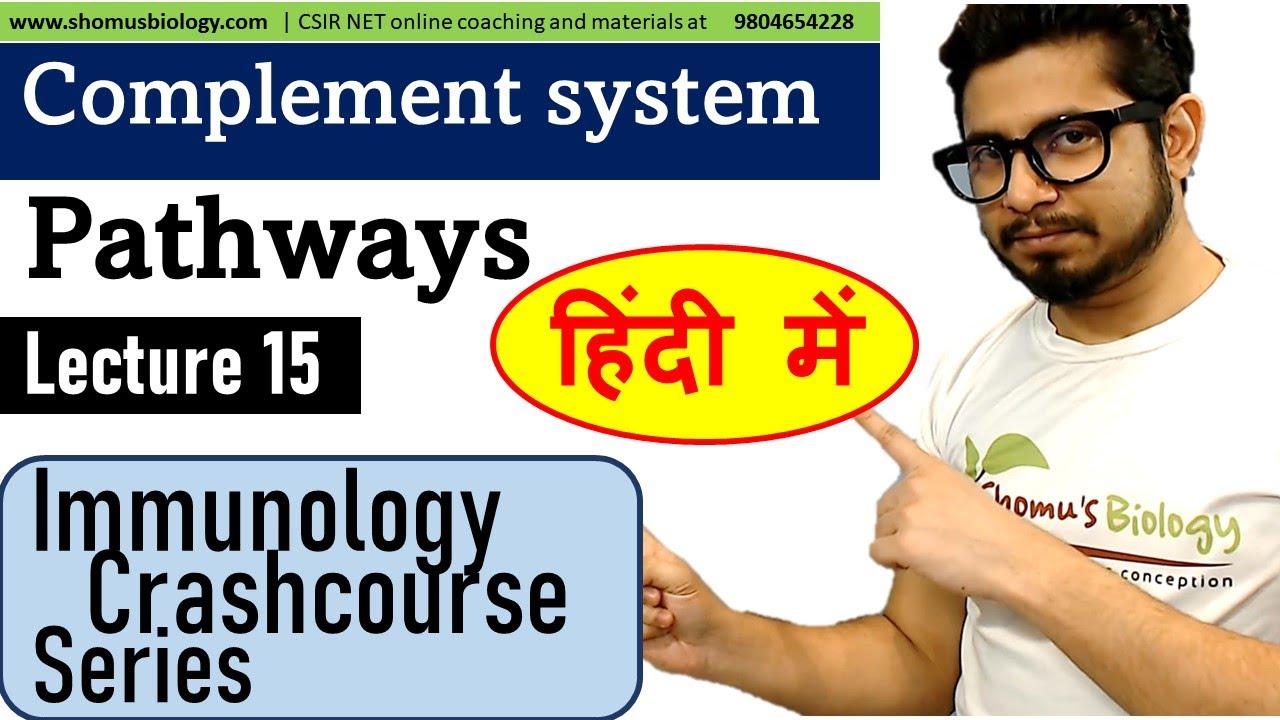 Complement system in Hindi | complement pathway - YouTube