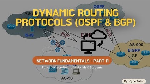What’s the Difference Between Static and Dynamic Routing?