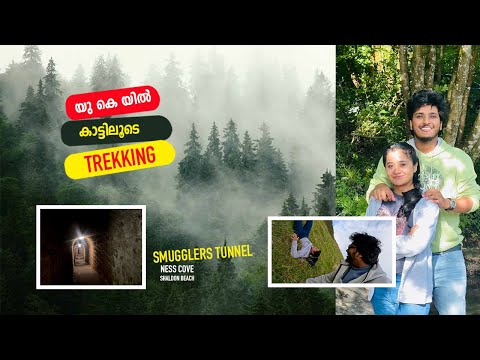 യു കെ യിൽ  കാട്ടിലൂടെ ട്രെക്കിംങ്ഗ്  | UK forest trekking | Shaldon Beach #uk #travel