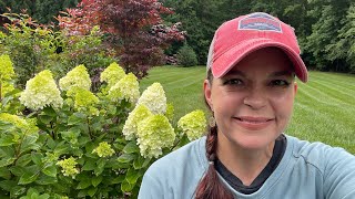 Hydrangea Garden Tour | Gardening with Creekside My Best Hydrangea Recommendations Gardening With Creekside