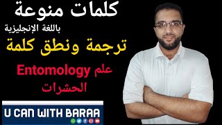 نطق علم دراسة الحشرات بالانجليزي ( نطق كلمة Entomology ) الصحيح معنى وترجمة علم الحشرات بالانجلش