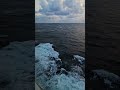 Rough Sea