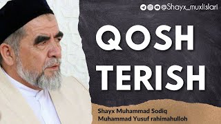 QOSH TERISH — Shayx Muhammad Sodiq Muhammad Yusuf rohimahulloh