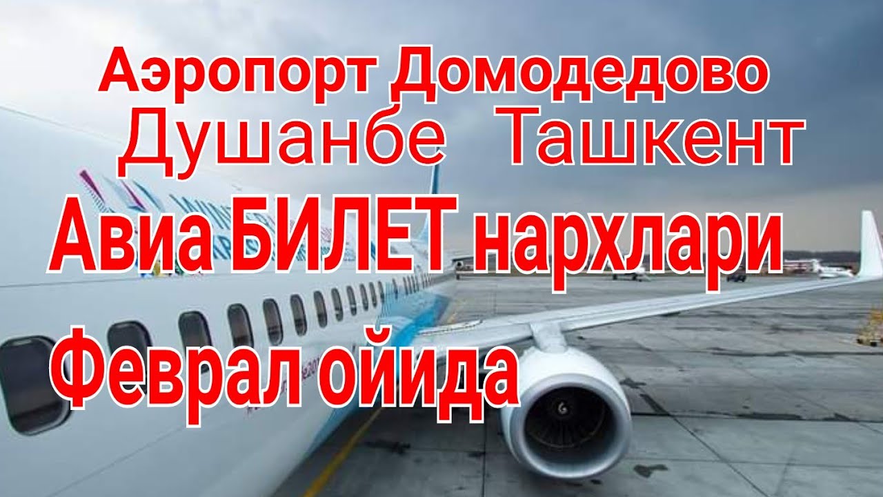 Ташкент аэропорт билет. Домодедово аэропорт билеты. Аэропорты Домодедово Душанбе билет. Билет Москва Душанбе аэропорт Домодедово. Домодедово билет НАРХЛАРИ.