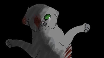 The Mute PMV MAP-Part 1