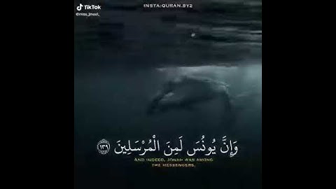 القارئ عمير شميم