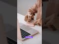 Struggling to create secure passwords #shorts #shortsfeed #youtubeshorts #ytshorts #password #viral