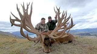 Cardrona Safaris New World Record Red Stag