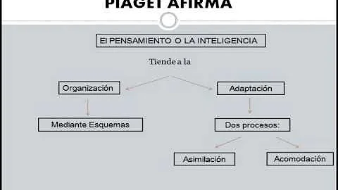 UNY  Elizabeth Rivero,Teoria del aprendizaje PIAGET