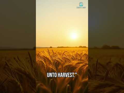 Jesus said it first… and it’s still true today. 🌾👀