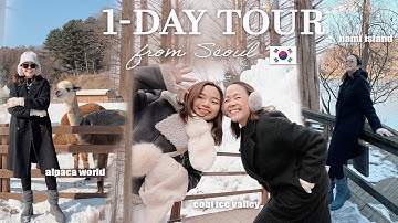 Korea Vlog: Eobi Ice Valley, Nami Island and Alpaca World in 1-day!   | Mommy Haidee Vlogs