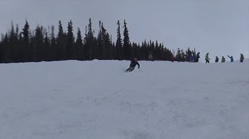 Variable Terrain 1 - PSIA - MA - Movement Analysis