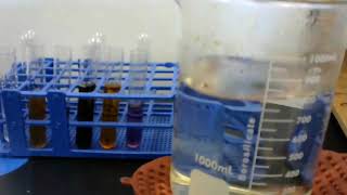 Explore: Chemical Equilibrium Lab