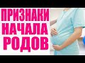 ПРИЗНАКИ НАЧАЛА РОДОВ | Главные отличия первых и повторных родов