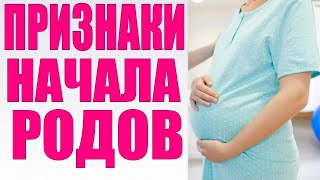 ПРИЗНАКИ НАЧАЛА РОДОВ | Главные отличия первых и повторных родов ПРИЗНАКИ НАЧАЛА РОДОВ | Главные отличия первых и повторных родов