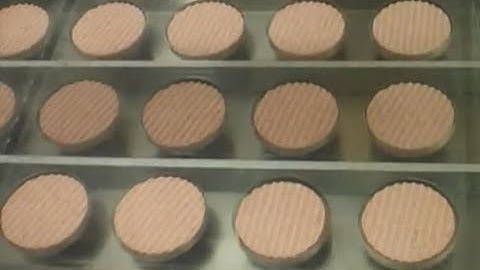 ELCAT Hamburgers Robotized Loader