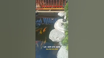 Tiểu cảnh Non bộ và hồ Koi sân vườn