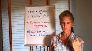 Healing WITHOUT a Healthy Diet, Unique Healing by Donna Pessin