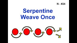 ANKC 2026 Rally Sign N24: Serpentine Weave Once (Novice)