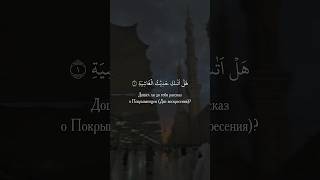 Мухаммад Аргунский, сура: 88 «Аль-Гашия» #коран #quran #единобожие #аяты #ахлюсунна #иман #даават