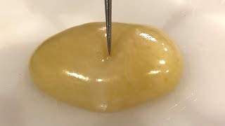 【閲覧注意】針でプスっと刺すと幼虫がブリブリ出てくる卵が面白い！！