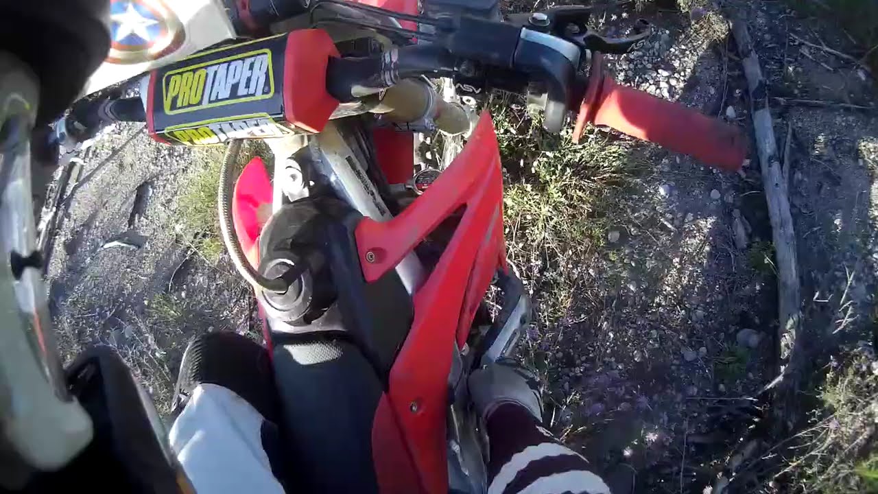 Check Out The Museum